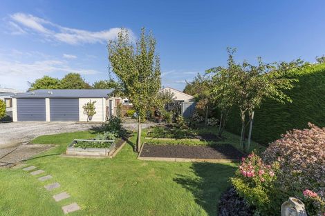 Photo of property in 75 Beach Street, Saint Clair, Dunedin, 9012