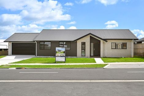 Photo of property in 67 Cobham Drive, Morrinsville, 3300
