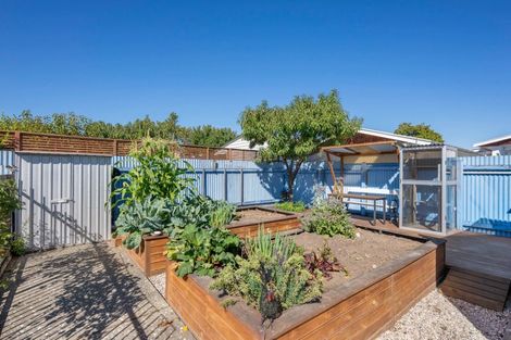 Photo of property in 228 Scott Street, Redwoodtown, Blenheim, 7201