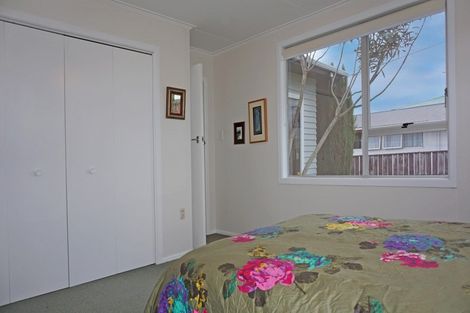 Photo of property in 123-125 Tiro Tiro Road, Levin, 5510