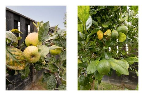 Photo of property in 154 James Street, Whakatane, 3120