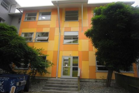 Photo of property in Drummond Street Flats, 21/19u Drummond Street, Mount Cook, Wellington, 6021