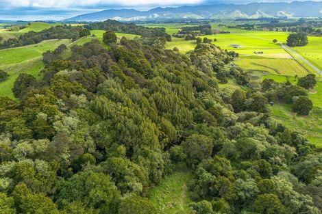 Photo of property in 137 Kiritaki Road, Dannevirke, 4972