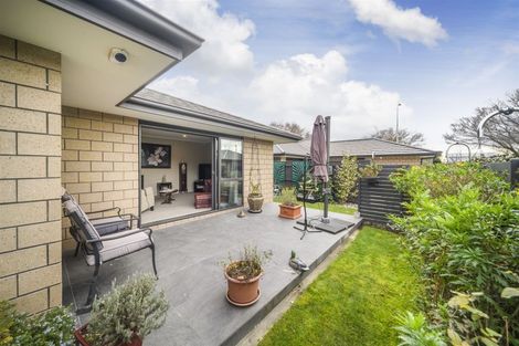 Photo of property in 2/2 Church Street, Terrace End, Palmerston North, 4410