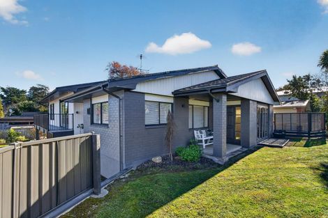 Photo of property in 65 Manuka Street, Lansdowne, Masterton, 5810