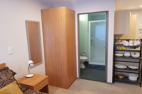 Photo of property in Dual Apartments, 108/142u Vivian Street, Te Aro, Wellington, 6011