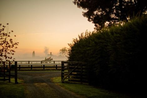 Photo of property in 25 Racecourse Road, Cambridge, 3493