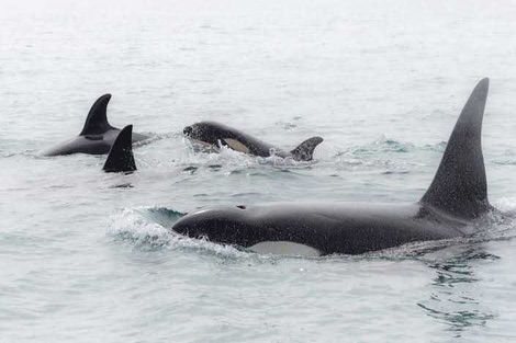 Photo of property in 944 Old Mountain Road, Waitetuna, Raglan, 3295