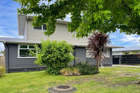 Photo of property in 20 Mary Street, Mangapapa, Gisborne, 4010