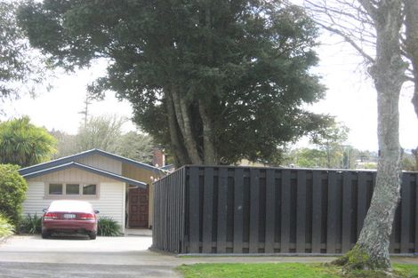 Photo of property in 22 Antonio Street, Stratford, 4332