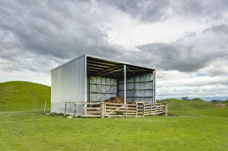 Photo of property in 226 Ongaonga Road, Waipawa, 4272