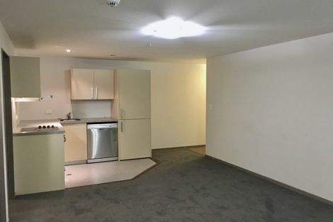 Photo of property in Dual Apartments, 310/142u Vivian Street, Te Aro, Wellington, 6011