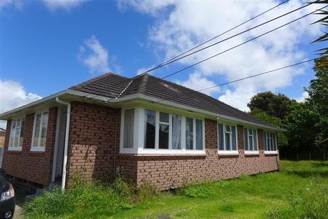 Photo of property in 28 Healy Road, Manurewa, Auckland, 2102
