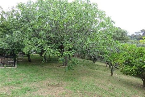 Photo of property in 163a Colwill Road, Massey, Auckland, 0614