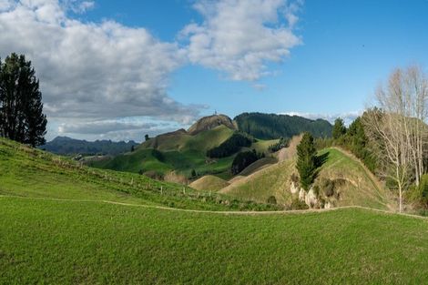 Photo of property in 274 Whakapapa Road, Ohakuri, Reporoa, 3083