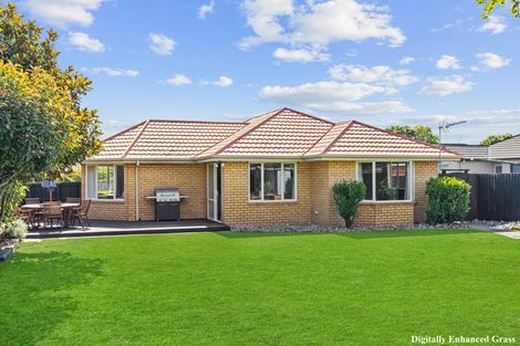 Photo of property in 19 Ballymena Drive, Belfast, Christchurch, 8051