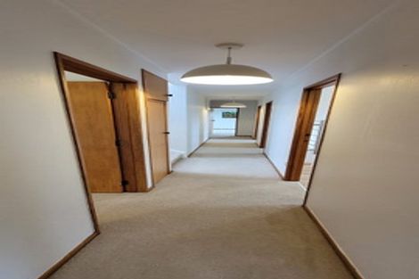 Photo of property in 10a Highmore Place, Brookfield, Tauranga, 3110