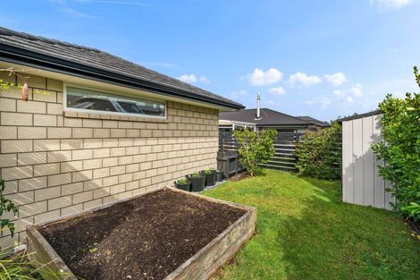 Photo of property in 25 Waitemata Drive, One Tree Point, 0118