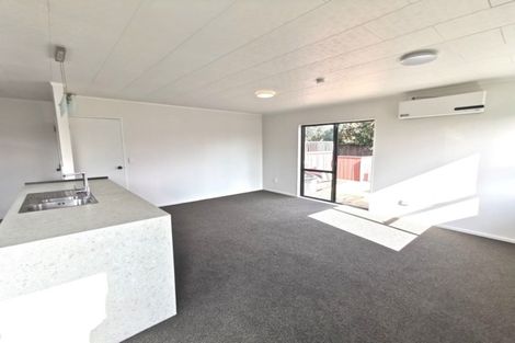 Photo of property in 98a Mako Mako Road, Levin, 5510