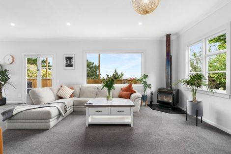 Photo of property in 71 Leckhampton Court, Clyde Hill, Dunedin, 9011
