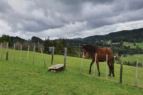 Photo of property in 225 Vinegar Hill Road, Kauri, Kamo, 0185