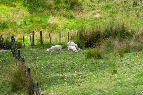 Photo of property in 585 Inland Road, Helensville, 0875