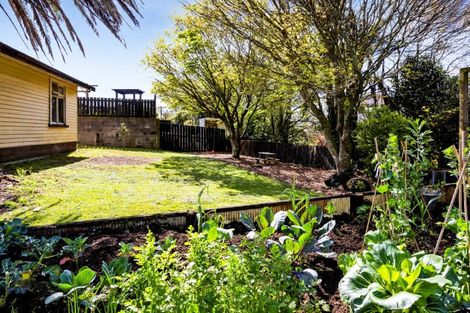 Photo of property in 5 Ulysses Street, Stratford, 4332