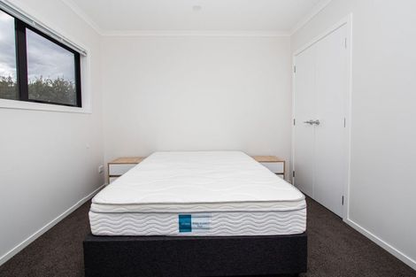 Photo of property in 13u2 Palmerston Street, Hamilton Central, Hamilton, 3204