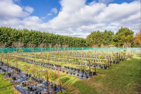 Photo of property in 138 Harrs Road, Swannanoa, Kaiapoi, 7692