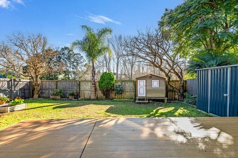 Photo of property in 55 Malaspina Place, Papatoetoe, Auckland, 2025