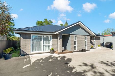 Photo of property in 77 Renall Street, Masterton, 5810