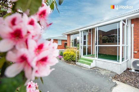 Photo of property in 37b King Street, Mosgiel, 9024