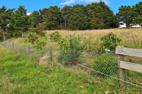 Photo of property in 304 Arapaoa Road, Tinopai, Matakohe, 0593