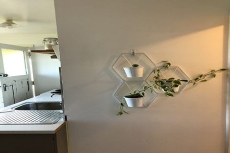 Photo of property in 53 Marewa Road, Hataitai, Wellington, 6021