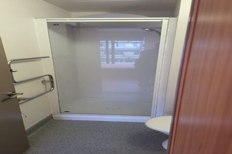 Photo of property in Dual Apartments, 108/142u Vivian Street, Te Aro, Wellington, 6011