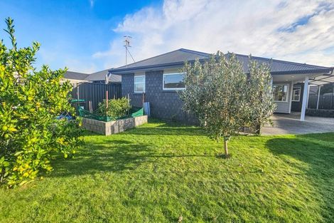 Photo of property in 28 Matariki Avenue, Frimley, Hastings, 4120