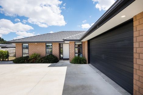 Photo of property in 22 Monarch Drive, Ashhurst, 4810