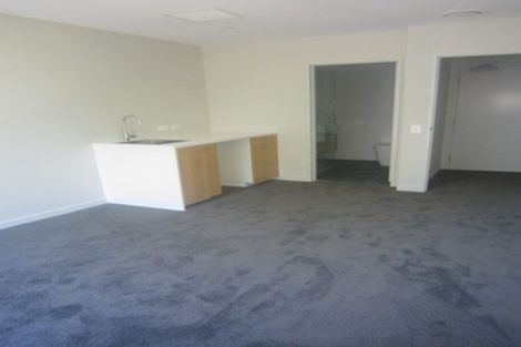 Photo of property in Vsp South, 102/166u Victoria Street, Te Aro, Wellington, 6011