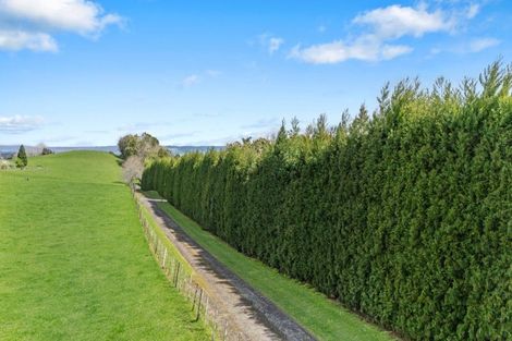 Photo of property in 3175l Ohauiti Road, Ohauiti, Tauranga, 3173