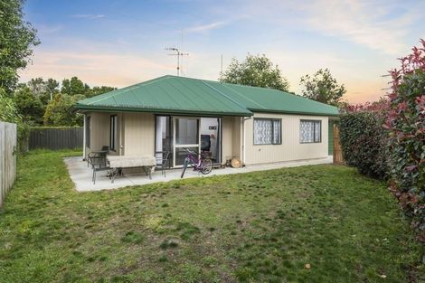 Photo of property in 95 Maungatapu Road, Maungatapu, Tauranga, 3112