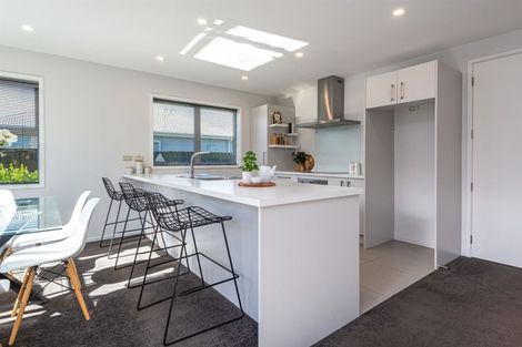 Photo of property in 109 Kittyhawk Avenue, Wigram, Christchurch, 8042