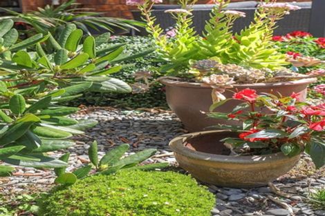 Photo of property in 1 Merlot Place, Te Kauwhata, 3710