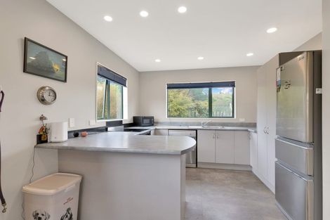 Photo of property in 48 Lyndon Street, Waiau, 7332