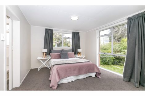 Photo of property in 14 Magee Place, Chartwell, Hamilton, 3210