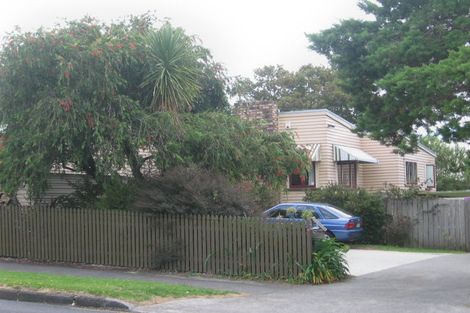 Photo of property in 49 Rimu Street, New Lynn, Auckland, 0600