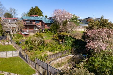 Photo of property in 21 Anderson Street, Putaruru, 3411