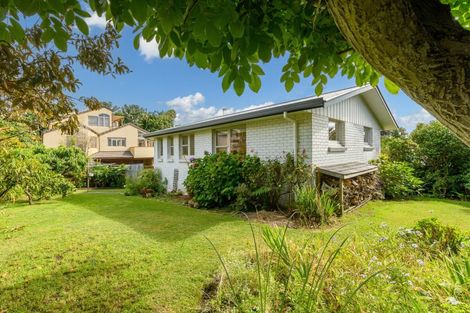 Photo of property in 50a Harvey Street, Tauranga South, Tauranga, 3112