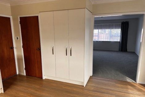 Photo of property in 8 Mayo Place, Belfast, Christchurch, 8051