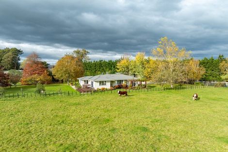 Photo of property in 139 Woodlands Road, Taumata Island, Carterton, 5792