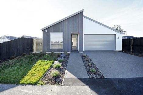Photo of property in 22 Manakura Street, Avonhead, Christchurch, 8042
